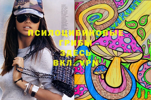 прущие крисы Алзамай